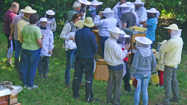 Jungimkerkurs 2017 (TV-Foto: Klaus Kimmling)